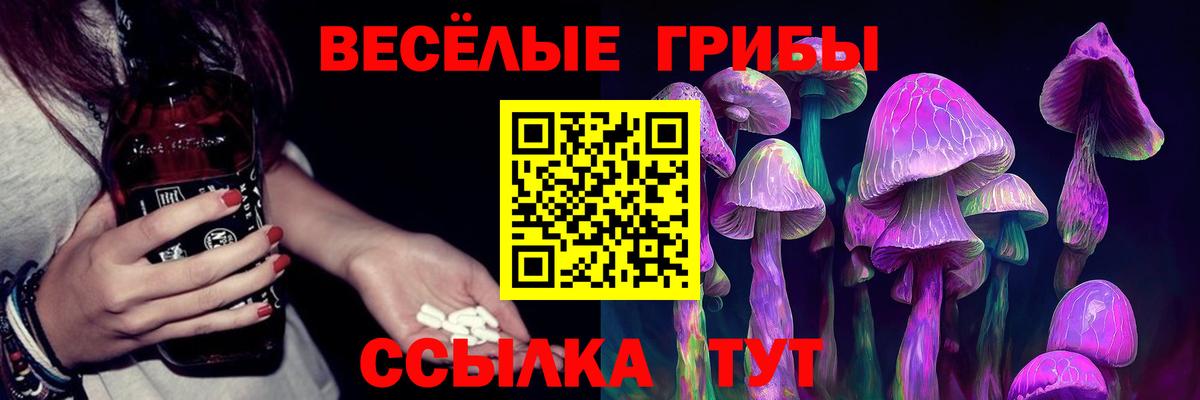 Каменск-Шахтинский  закладки  Вход с VPN  Псилоцибиновые грибы Cubensis  Галлюциногенные грибы мухоморы 